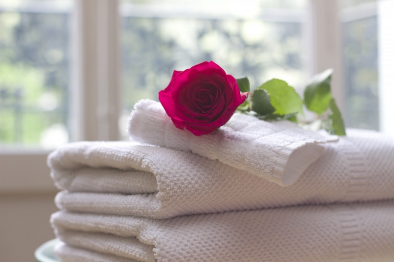 chambre-hote-ST MARTIN VESUBIE-min_towel_rose_clean_care_salon_spa_white_bath-731641